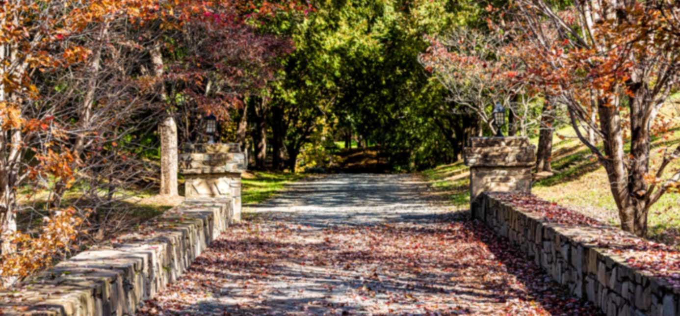 Countryside path with fall leaves in Mclean VA