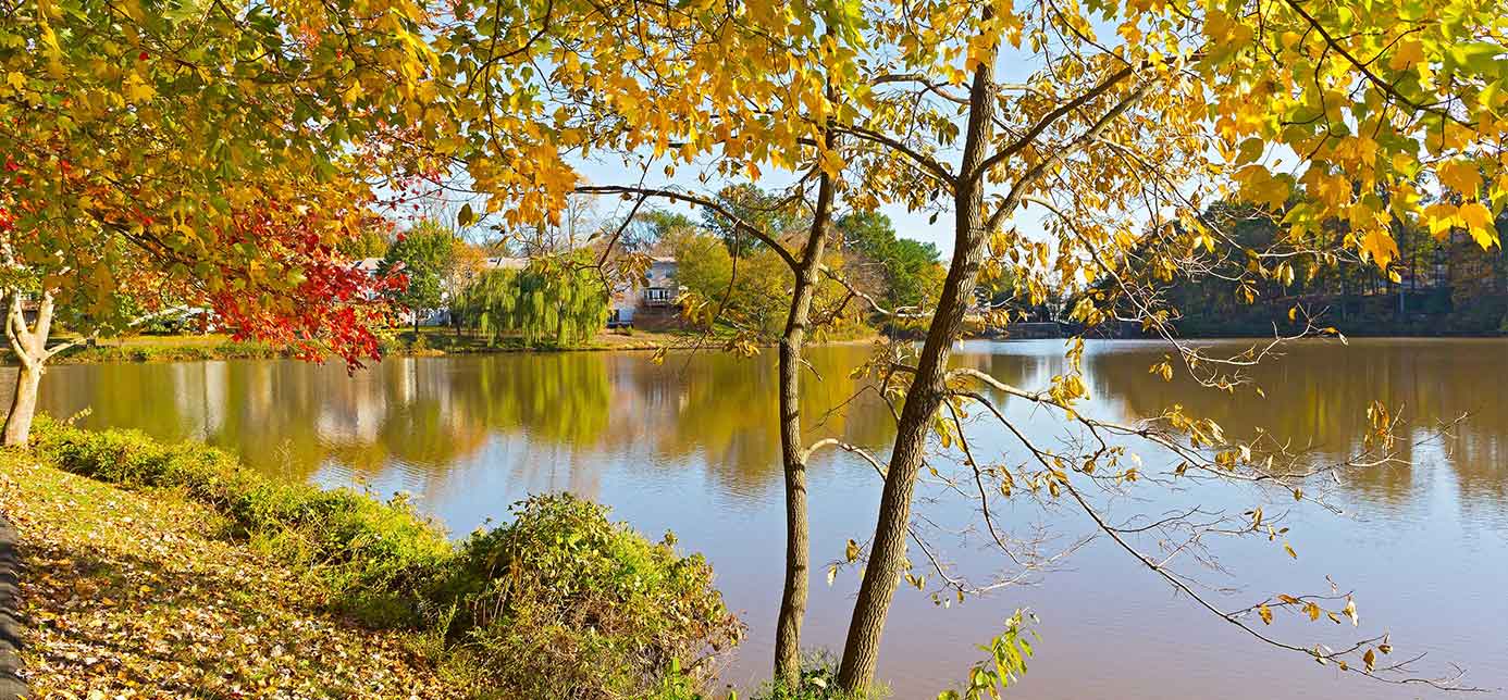 Fall foliage on a lake in Falls Church VA
