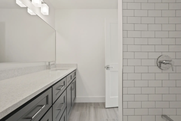 Project 2 (Addition/Reno)